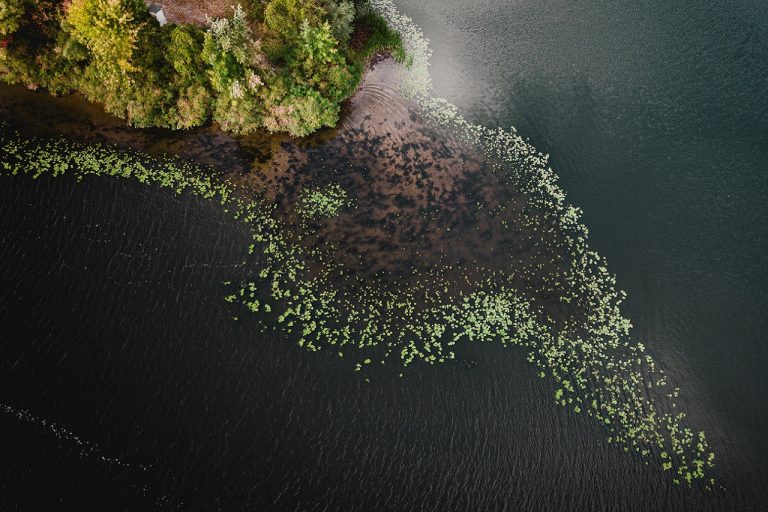 Entre junio y julio de 2023, las startups participarán en diversos talleres en línea y recibirán tutoría de socios estratégicos potenciales.