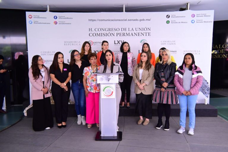 a iniciativa busca que las empresas tecnológicas asuman su responsabilidad de reparar el daño a las mujeres afectadas.