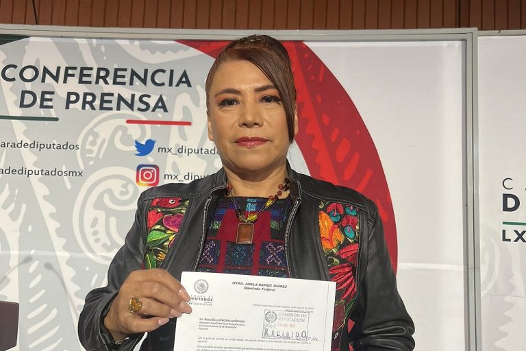 No solo se trata de errores ortográficos y gramaticales, sino de intenciones dogmáticas y filosóficas que conllevan a un interés político con abusos.