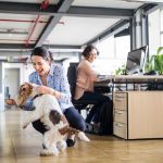 "No todos los perros son adecuados para la oficina"; depende de la personalidad del perro y su relación con los humanos.