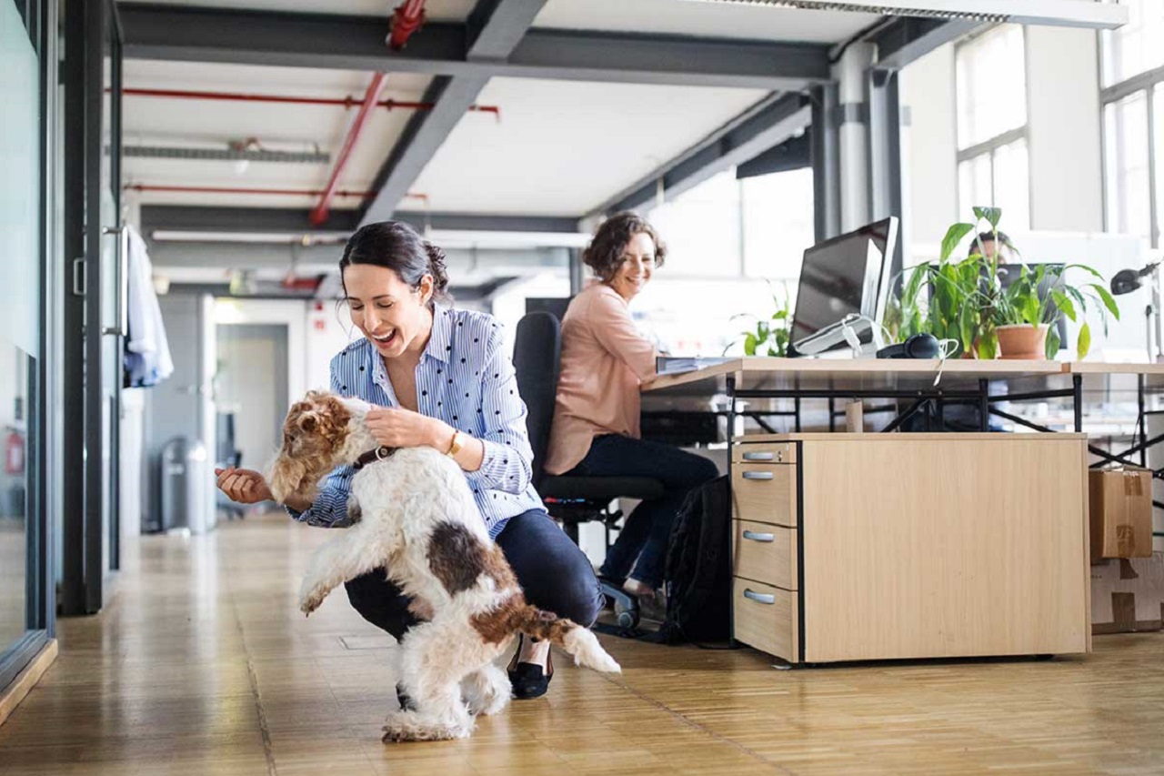 "No todos los perros son adecuados para la oficina"; depende de la personalidad del perro y su relación con los humanos.