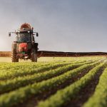 Según el especialista, el nuevo certificado electrónico digital vía blockchain sería el primero en América Latina.