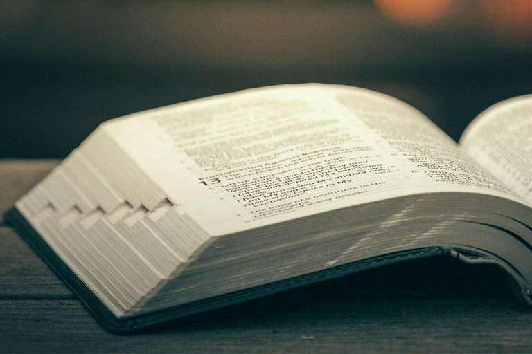 La Biblia de Estudio Esquematizada estará presentándose en el mes de agosto.