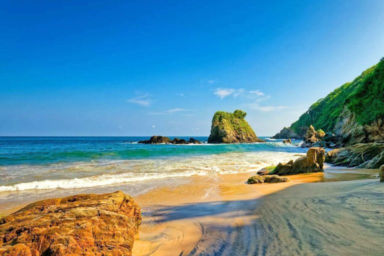 GreenSouls cuenta con cinco años de experiencia promoviendo el cambio positivo en Colombia.