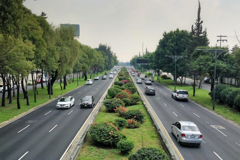 Posterior a una denuncia ciudadana, personal de la alcaldía Iztacalco con la Secretaría de Seguridad Ciudadana (SSC) de la Ciudad de México retiraron un altar dedicado a satanás y la santa muerte.