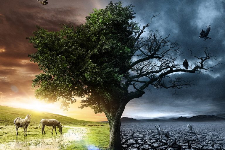 Según Langan, la muerte marca el fin de nuestra relación con el cuerpo físico.