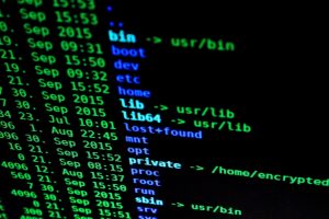Cybernews señala que existen duplicados en los datos, por lo que “es imposible determinar cuántas personas o cuentas quedaron expuestas”.