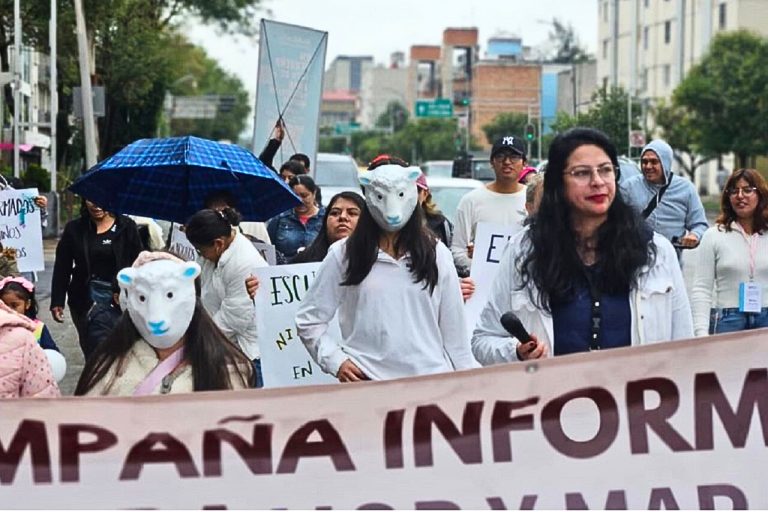 Desde 2019, la fundación ALAS, AC (Arte, Laboratorio y Activismo Sociocultural) organiza este activismo haciendo uso del papalote para simbolizar la lucha de los niños por la protección de sus derechos.