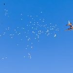 Como se recordará, la guerra de Gaza se originó por el ataque de Hamás y otras organizaciones terroristas islamistas contra Israel el 7 de octubre de 2023.