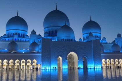 En Europa, Noruega ocupa el primer puesto y el tercer lugar a nivel mundial con una tasa de adopción del 46,4 %. Le siguen Irlanda (44,6 %) y Francia (44%), dos países con sólidos ecosistemas tecnológicos.